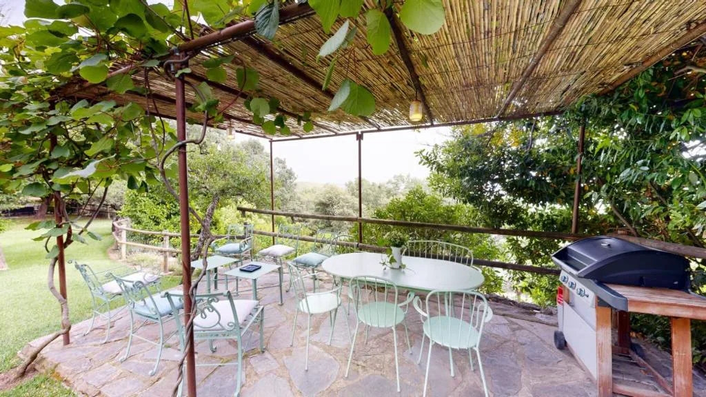 Pérgola con mesa y sillas de terraza bajo cañizo