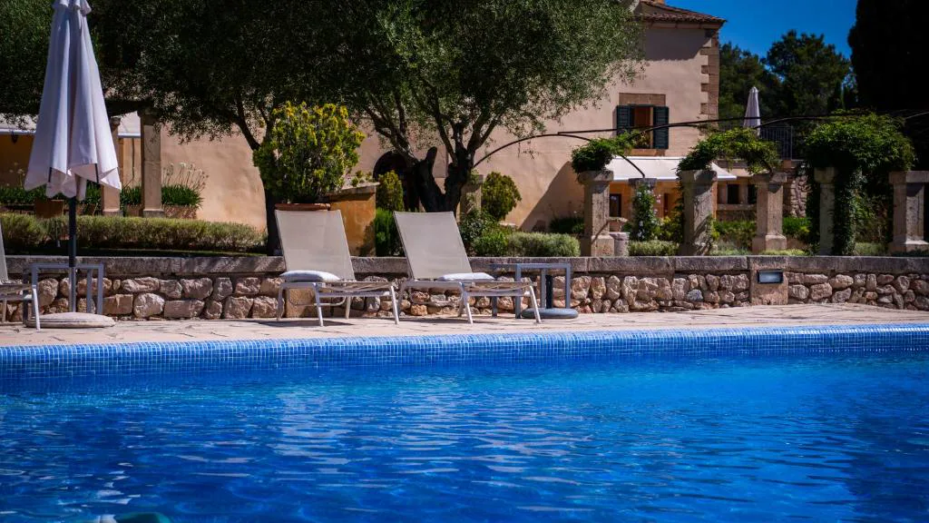 Piscina con tumbonas junto a un olivo centenario y la fachada de la finca, Agroturisme Son Cardaix