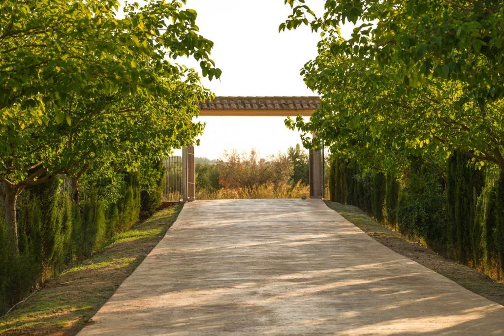 Camino de gravilla entre setos altos