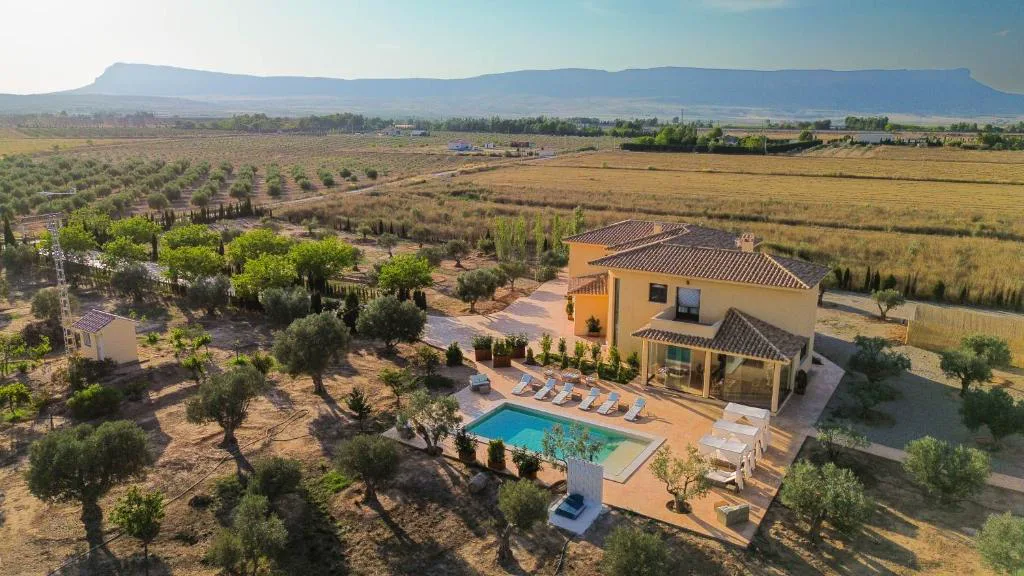 Vista aérea de la casa entre olivos
