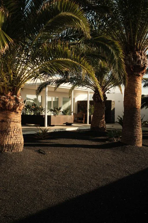 Jardín de palmeras junto a la fachada blanca del hotel al atardecer, Alava Suites