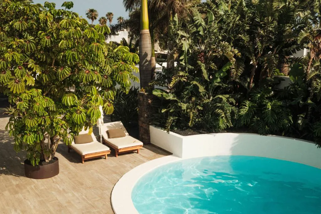 Piscina circular rodeada de vegetación tropical en Alava Suites, Costa Teguise, Lanzarote