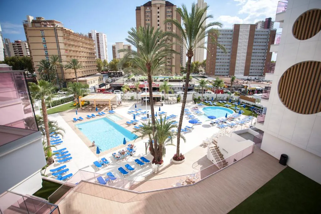 Vista de la piscina rodeada de palmeras y tumbonas en Benidorm