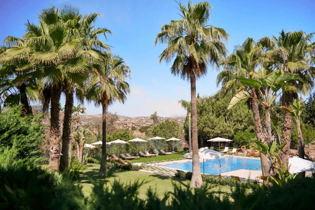 Jardín con palmeras y piscina junto al hotel