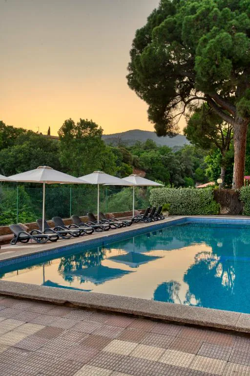Piscina exterior al atardecer entre pinos