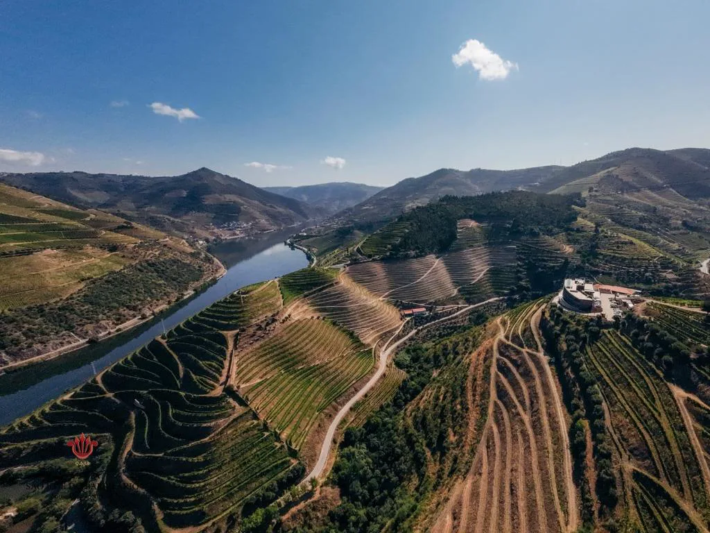 Vista aérea de las terrazas de viñedo y el río Duero junto al Barrilario Douro Wine Hotel