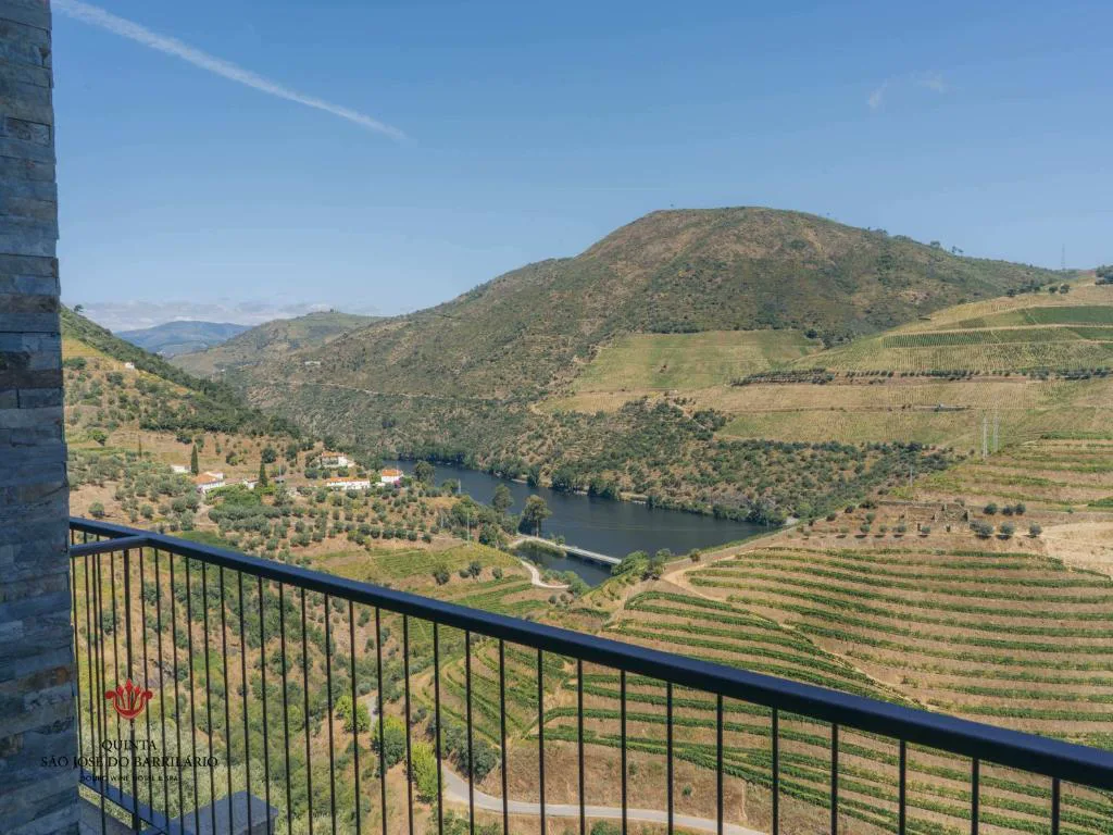 Vistas al río Duero y los viñedos en terrazas desde un balcón del hotel