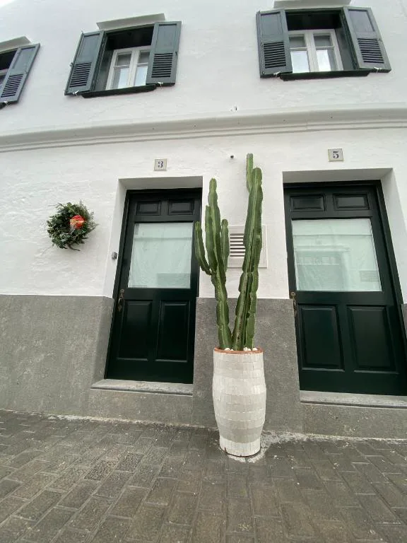 Fachada blanca con puertas verde oscuro y un cactus en maceta de mosaico, Ca na Kika