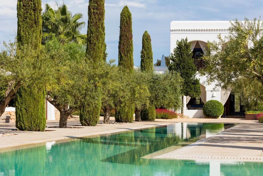 Piscina rodeada de olivos centenarios frente a la finca blanca, Ca Na Xica