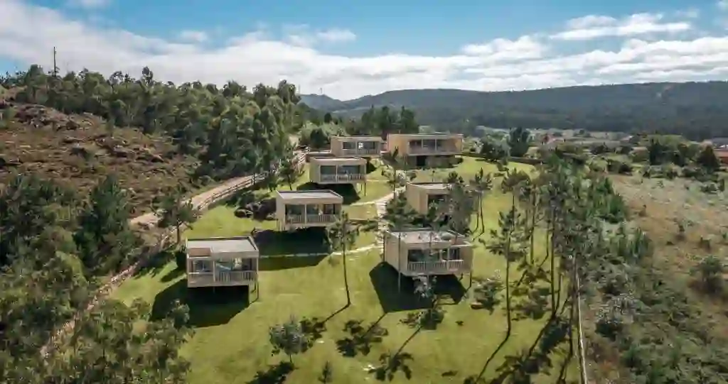 Vista aérea de las cabañas de madera elevadas entre pinos, Cabanas da Luz, Camariñas