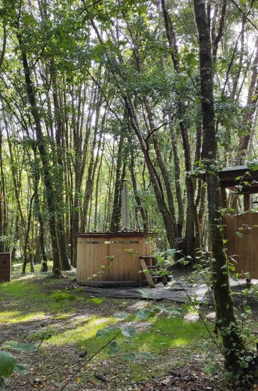 Bañera nórdica de madera junto a la cabaña, rodeada de árboles, en Cabanas das Chousas