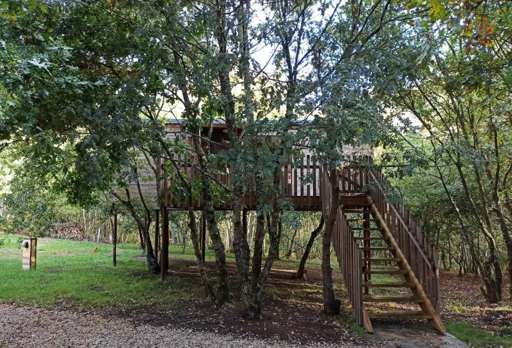 Cabaña en el árbol con escalera de madera entre el bosque de Cabanas das Chousas, cerca de Lugo