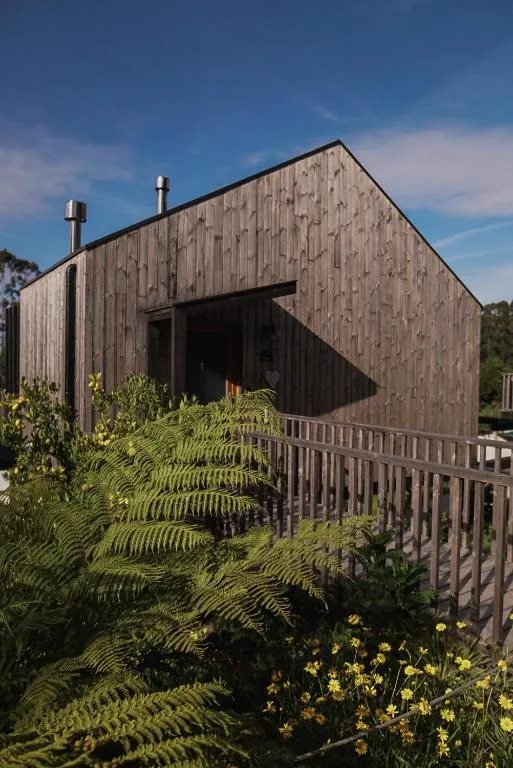 Fachada de madera de una cabaña elevada sobre pilotes, entre helechos y flores silvestres, Cabañas de Udra