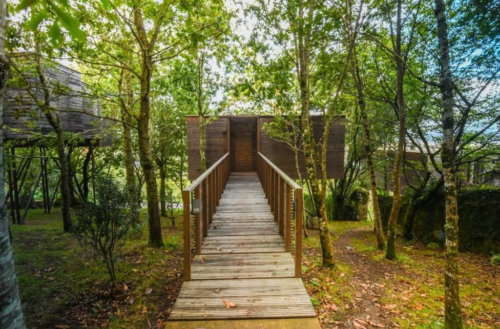 Pasarela de madera elevada entre árboles hacia la cabaña, Cabañas con vista a la ría