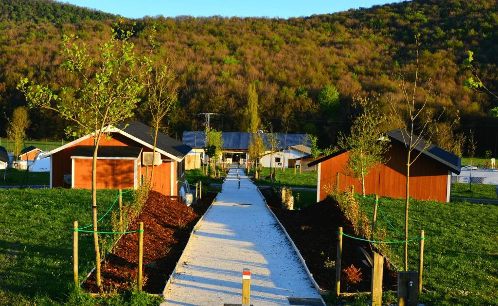 Bungalós de madera entre árboles