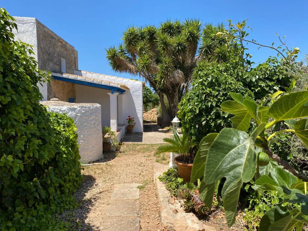 Sendero de piedra entre jardín tropical hacia la casa tradicional blanca de Can Xicu Castello, en Sant Ferran de Ses Roques, Formentera