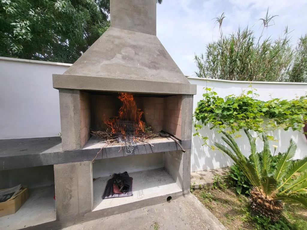 Barbacoa de obra con enredadera