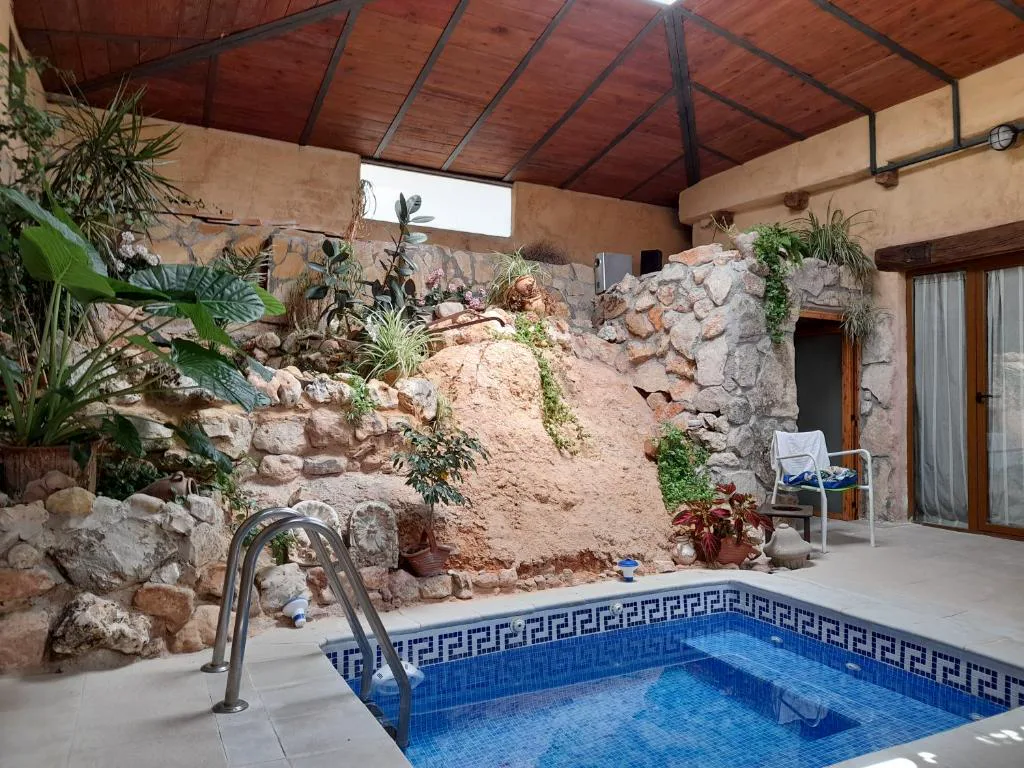 Piscina interior con roca y plantas