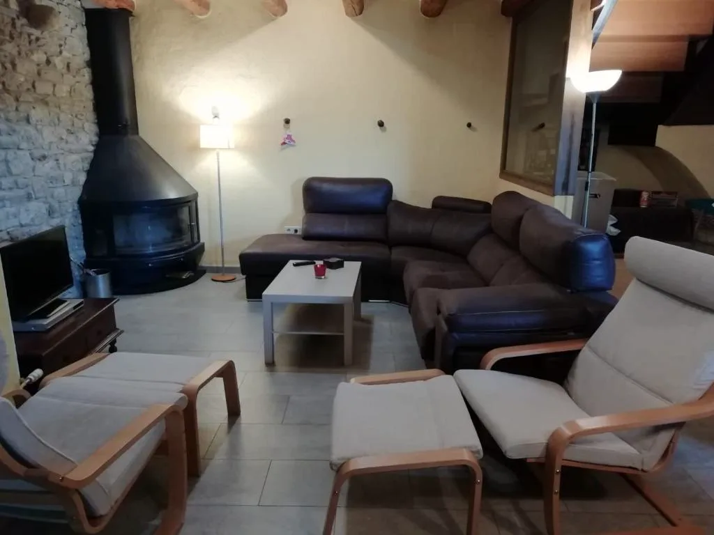 Salón con estufa de leña y sofás grises