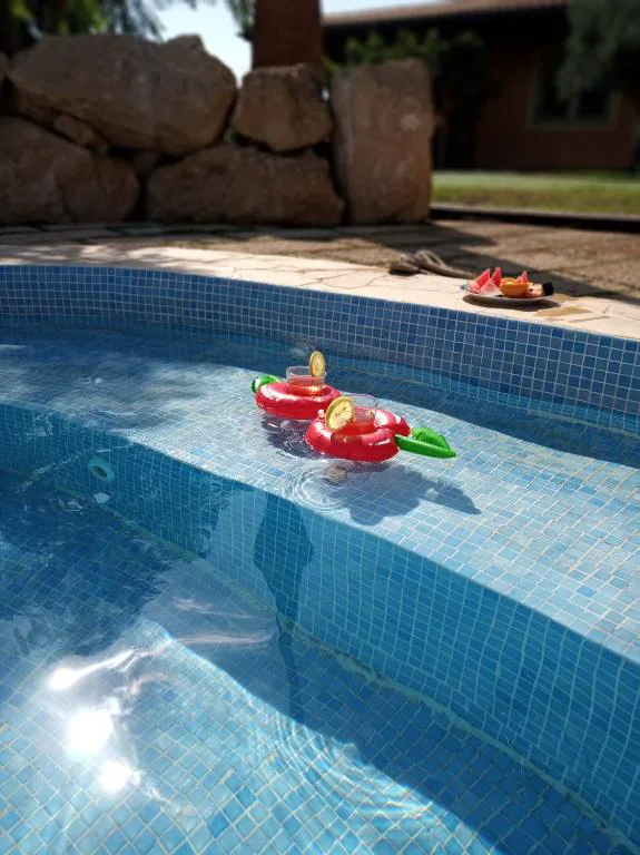 Piscina con muro de piedra volcánica y flotadores de fruta, Casa del Artista