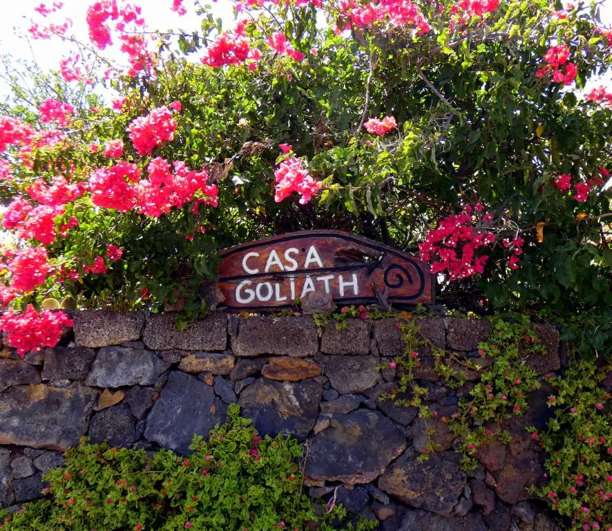 Cartel de madera de Casa Goliath entre buganvillas rosas sobre un muro de piedra, El Hierro