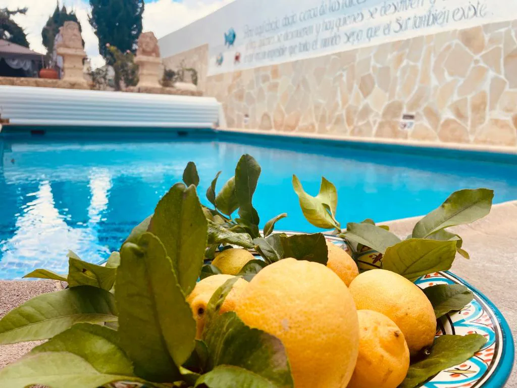 Limones recién cortados junto a la piscina con esculturas de piedra al fondo, Casa Juan Vera