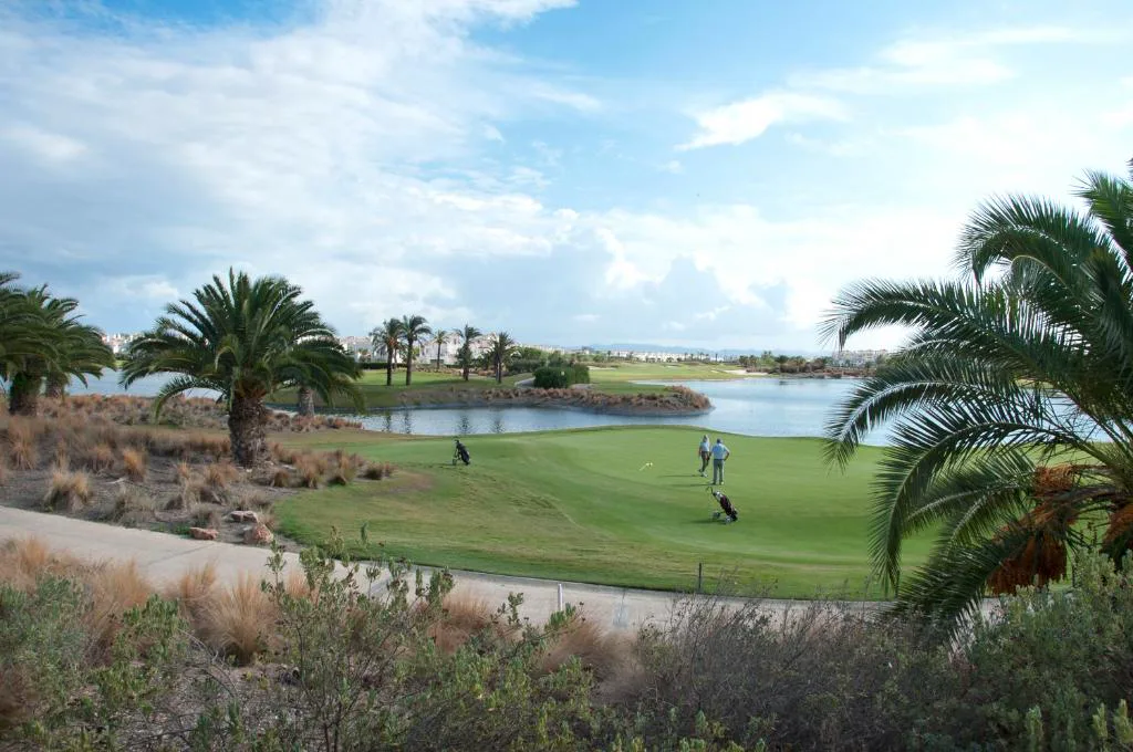 Lago y campo de golf con palmeras