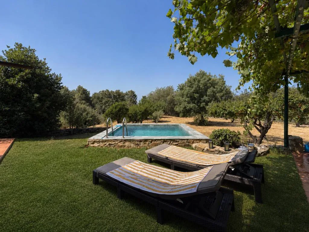 Piscina rodeada de césped con tumbonas bajo los olivos
