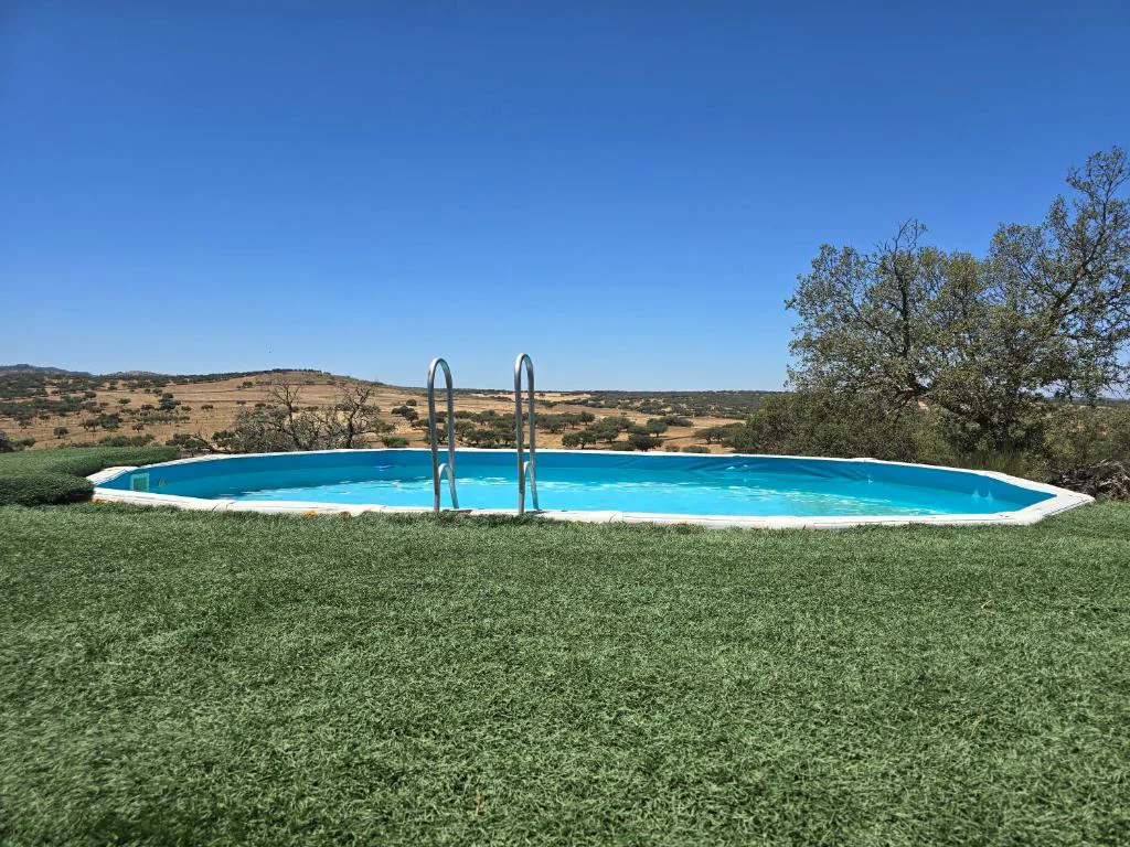Piscina ovalada en un jardín de césped con la casa de madera