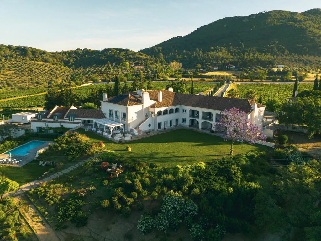 Vista aérea de Hotel Casa Palmela entre viñedos, con la Serra da Arrábida al fondo, Setúbal
