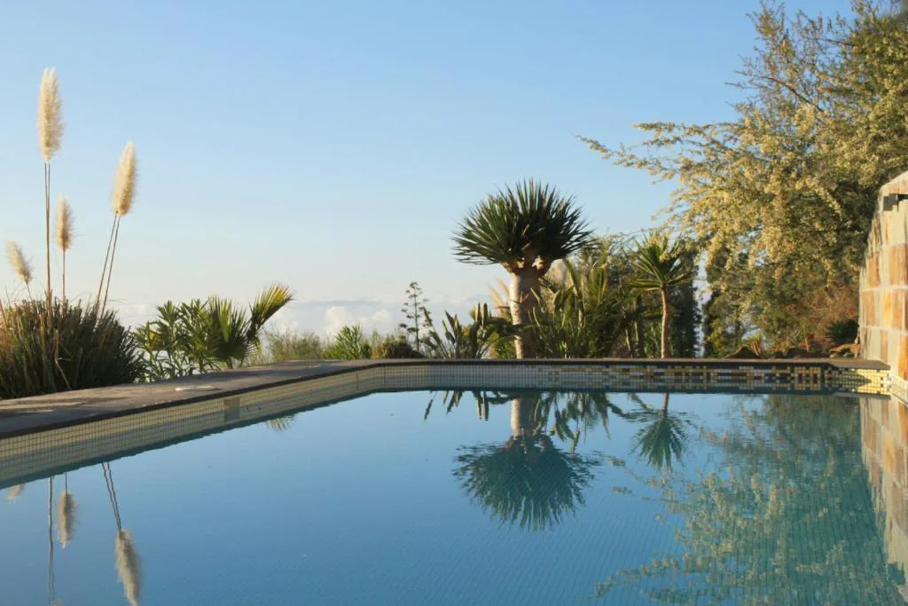 Piscina infinita rodeada de dragos y palmeras sobre el mar de nubes, Casa Rural El Refugio, Puntagorda, La Palma