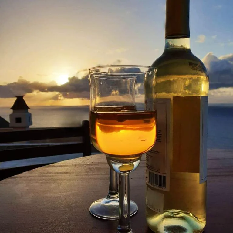 Copa de vino y botella al atardecer con vistas al mar desde la terraza, Casa rural Los Órganos de Arguamul