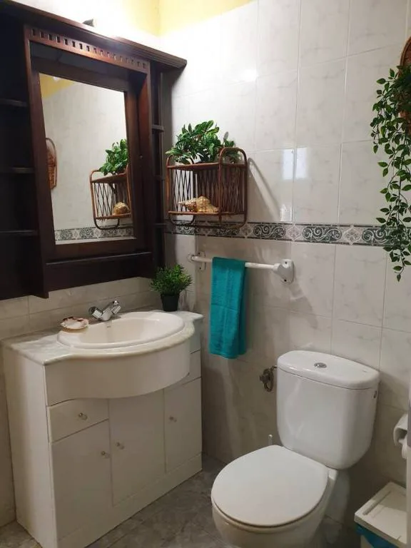 Baño con espejo de madera y plantas junto al lavabo, Casa rural Los Órganos de Arguamul