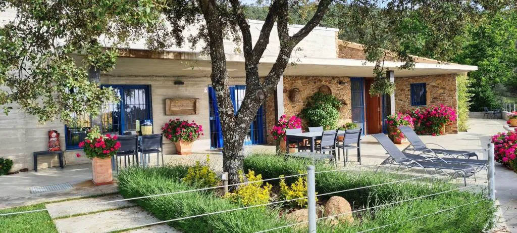 Casa entre árboles con piscina al fondo