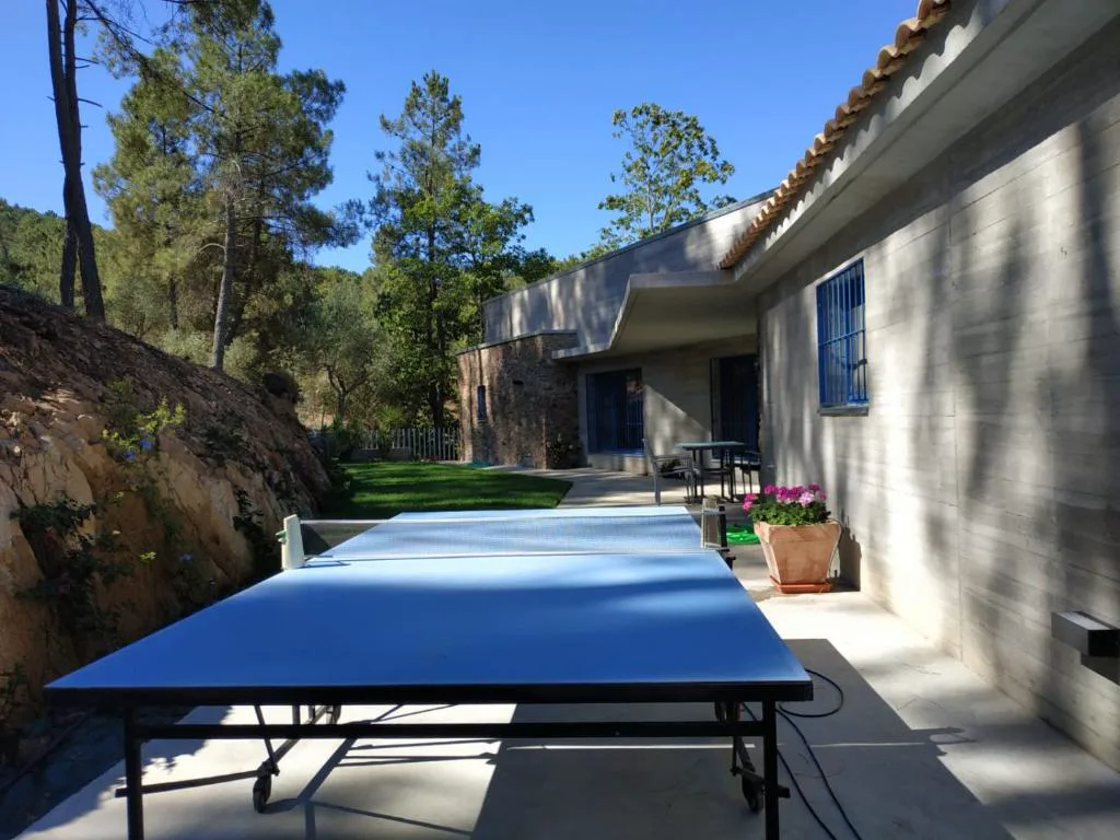 Mesa de pimpón junto a una piscina en el jardín
