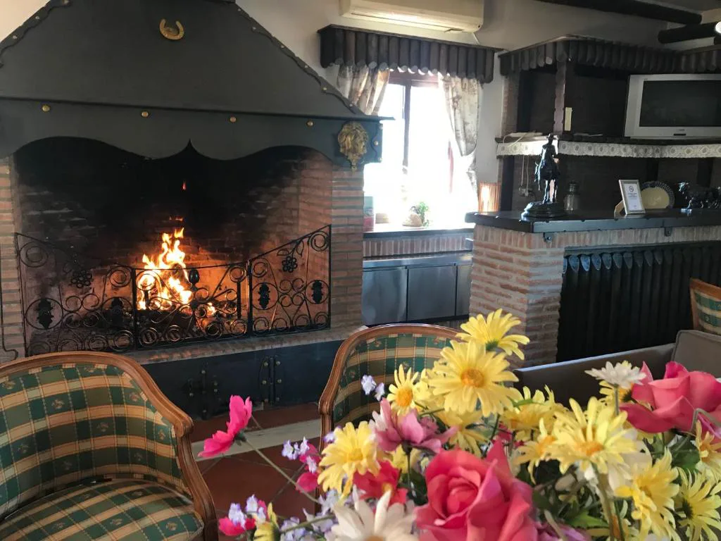 Chimenea de leña encendida con macetas de flores