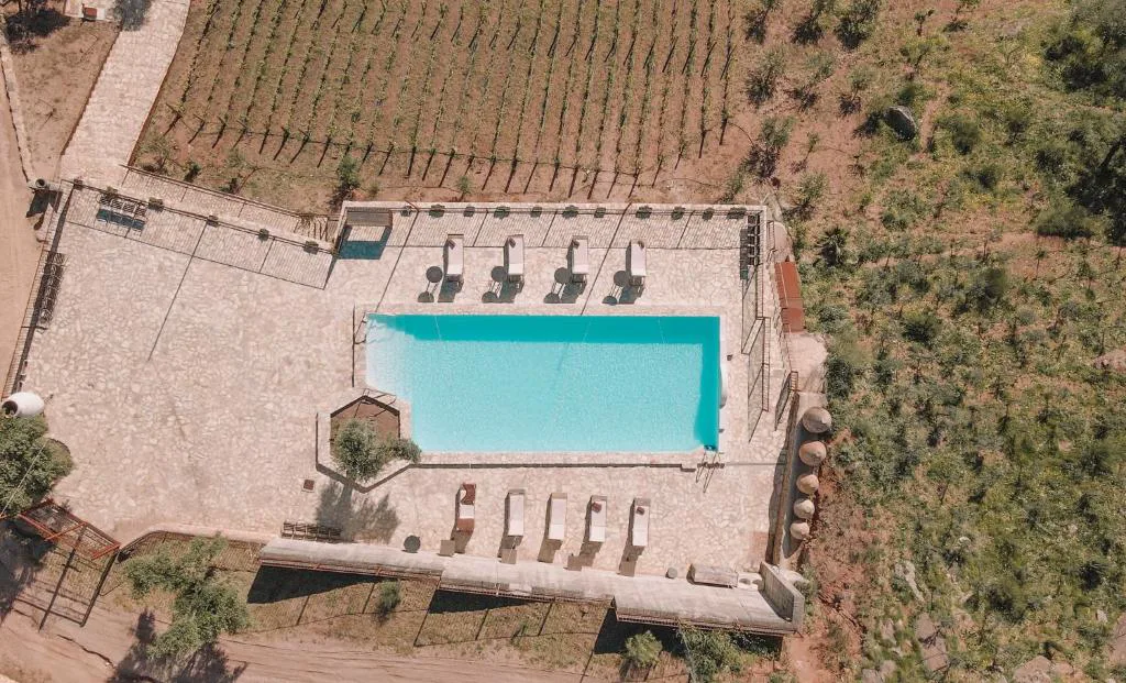Vista aérea de la piscina entre olivos y campos de la Serranía de Ronda