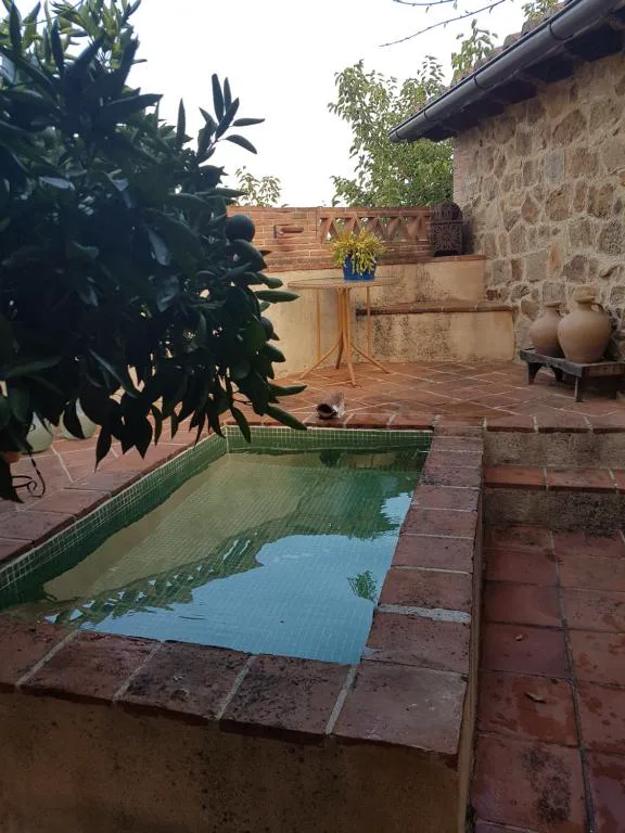 Piscina pequeña verde con muros de piedra y árboles