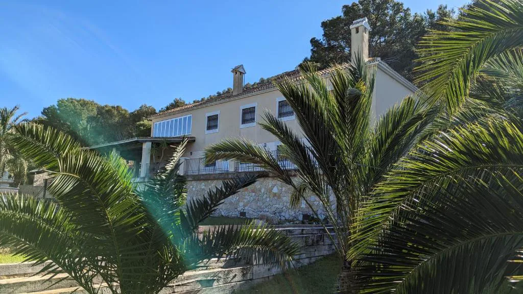 Casa entre palmeras y pinos