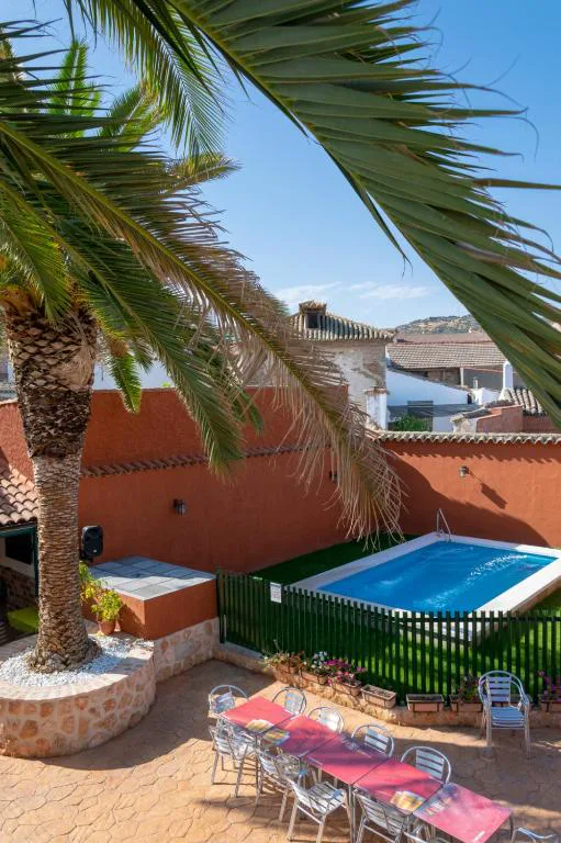 Piscina pequeña con palmera y tumbonas en una terraza