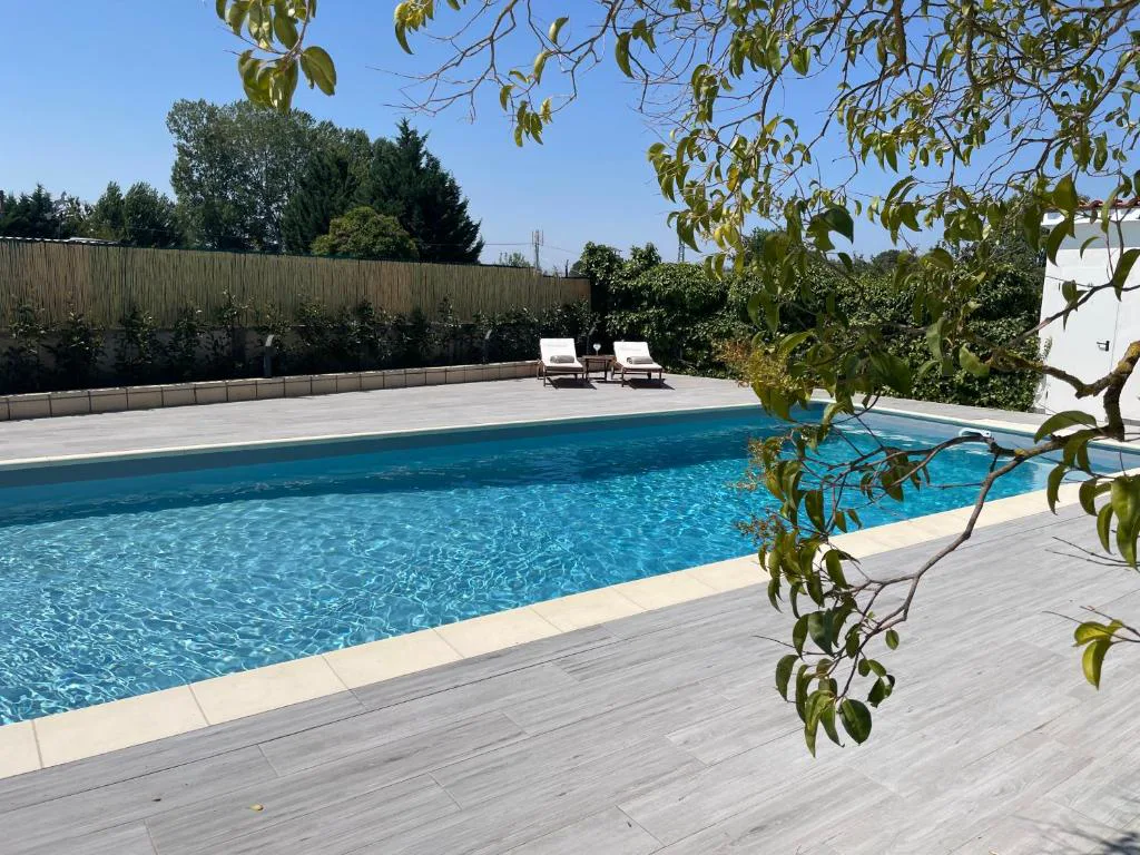 Piscina al aire libre entre árboles
