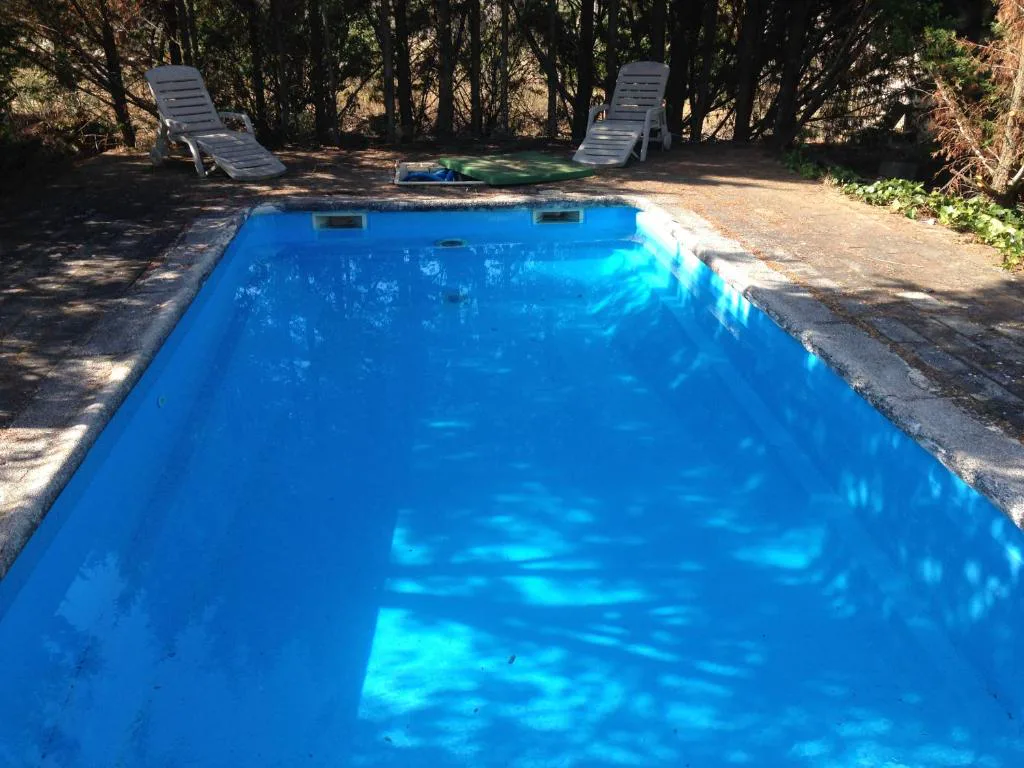Piscina rectangular azul entre pinos