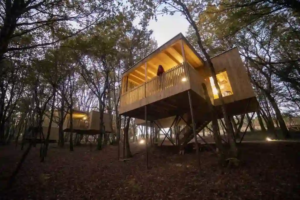 Cabañas elevadas entre los árboles iluminadas al atardecer, Enoturismo María Manuela