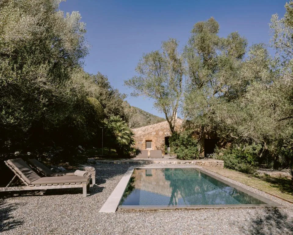Piscina rectangular rodeada de olivos centenarios junto a la casa de piedra, Es Racó d'Artà