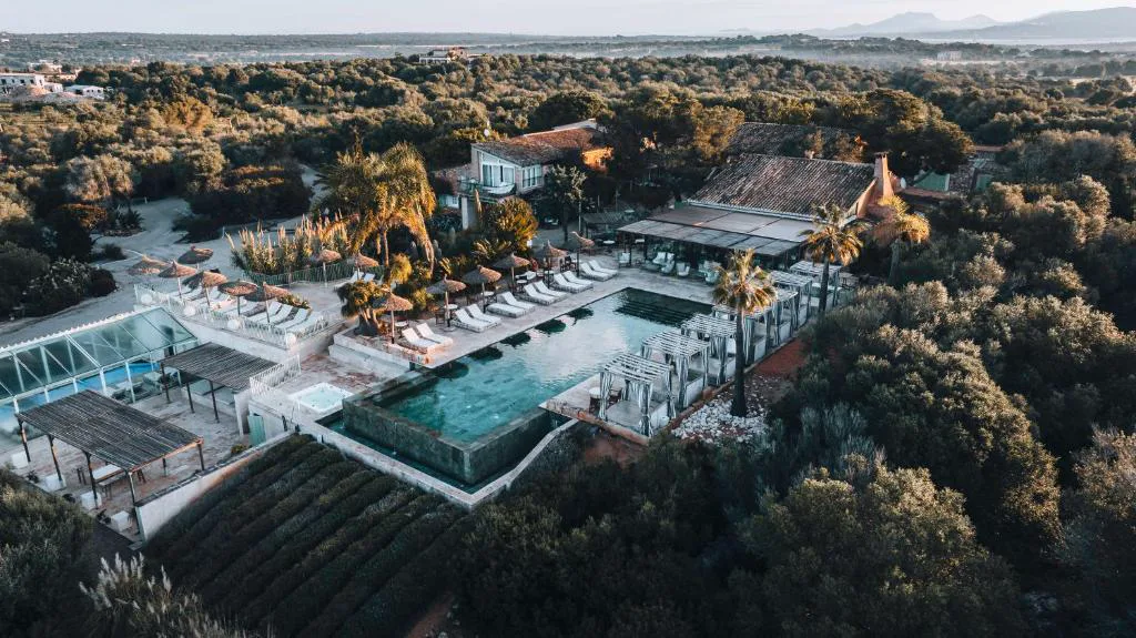 Vista aérea de la finca rural Es Turó con piscina exterior entre olivos y campos, en Ses Salines, Mallorca