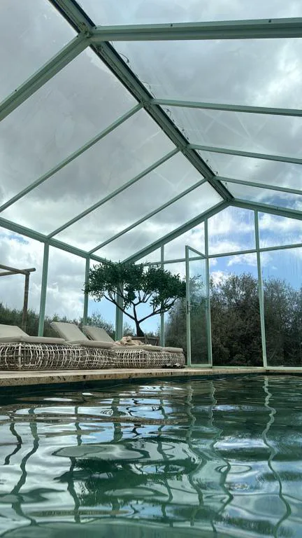 Piscina cubierta acristalada con olivo interior, Finca Hotel Rural Es Turó