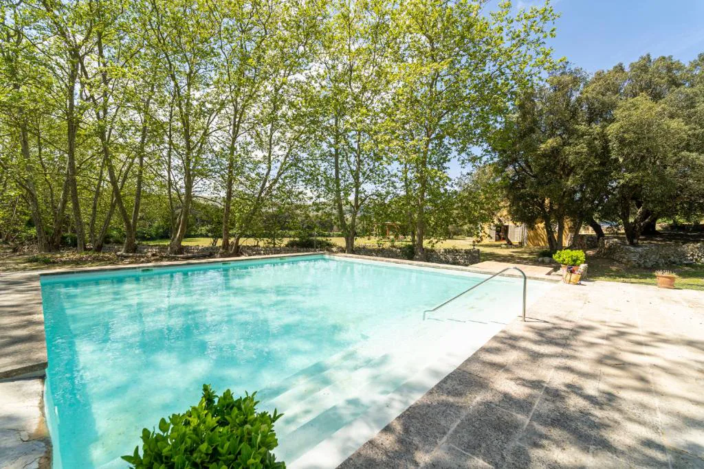 Piscina rodeada de altos plátanos centenarios junto a la finca amarilla, Can Regalat