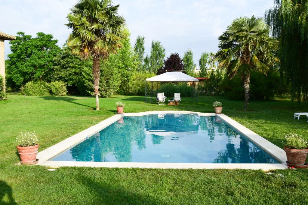 Piscina rodeada de césped y palmeras