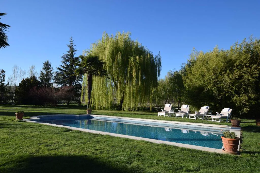 Piscina alargada con sauces y césped