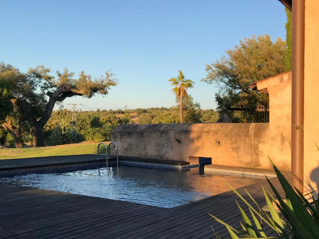 Piscina oscura junto a un árbol y un edificio de piedra
